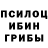 Псилоцибиновые грибы Magic Shrooms Alfie Bailey