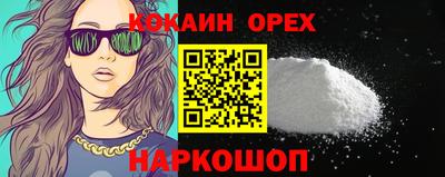 стафф Гусев