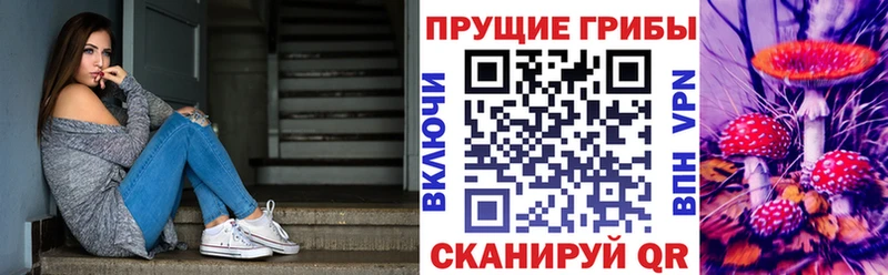 Галлюциногенные грибы Psilocybine cubensis  Тула 