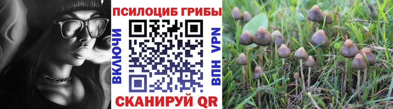 Псилоцибиновые грибы мицелий Тула