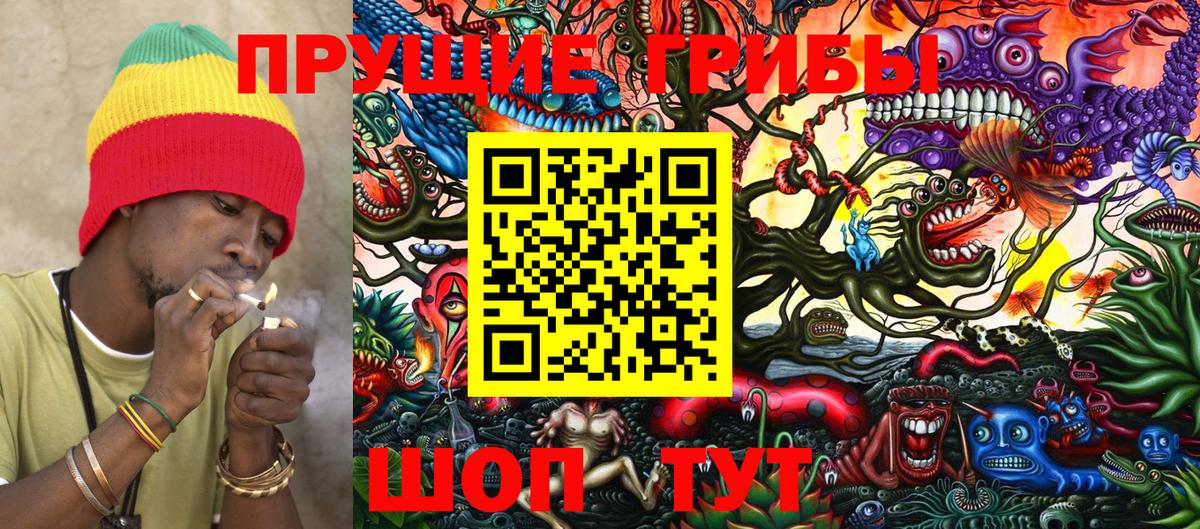 Галлюциногенные грибы Psilocybe Тула